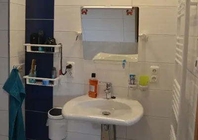 Bennewitz: Deckenliftsystem mit Absetzpunkt vor dem barrierefreien Waschtisch.